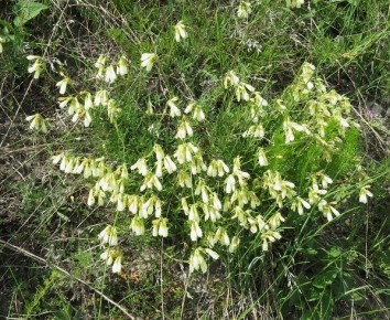 В Единый государственный реестр недвижимости внесли сведения о трех охранных зонах памятников природы