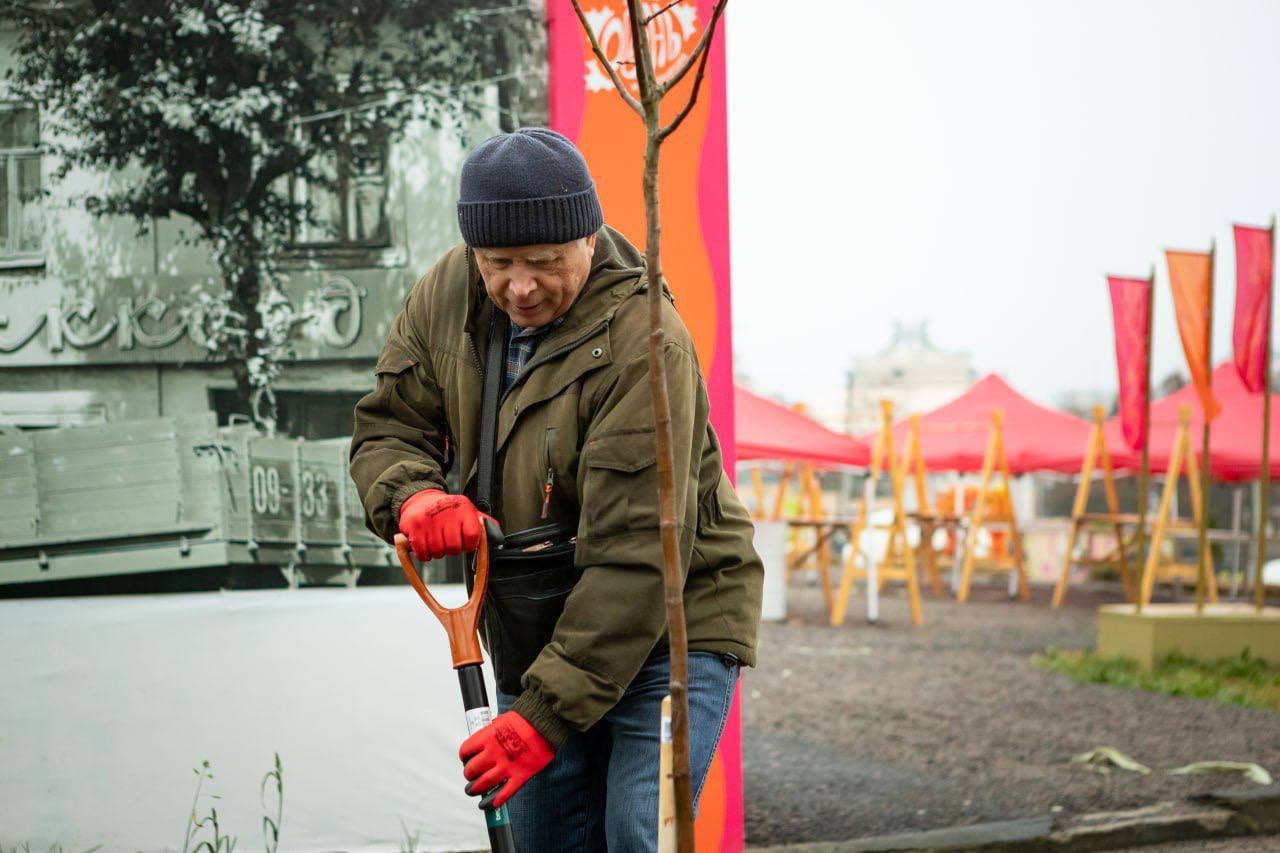 Партийцы, члены «Молодой гвардии» и «Волонтерской роты» высадили саженцы лип