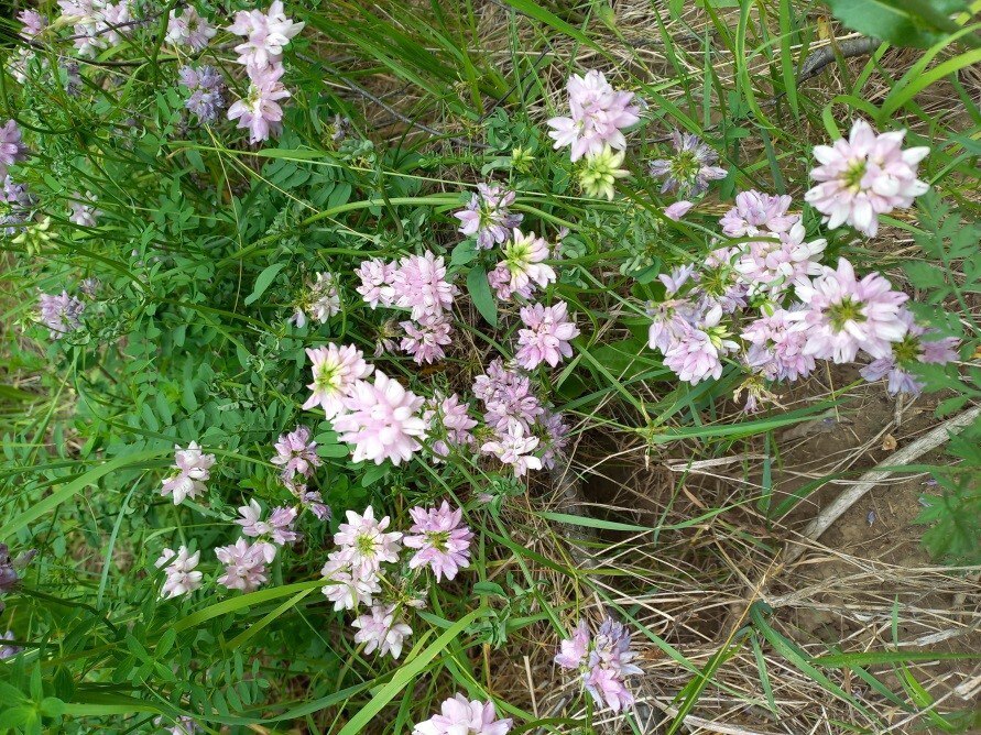 В Единый государственный реестр недвижимости внесли сведения о трех охранных зонах памятников природы В Единый государственный реестр недвижимости внесли сведения о трех охранных зонах памятников природы
