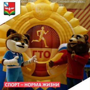 В физкультурнооздоровительном комплексе «Старт» имени С. В. Белых состоялся фестиваль ГТО