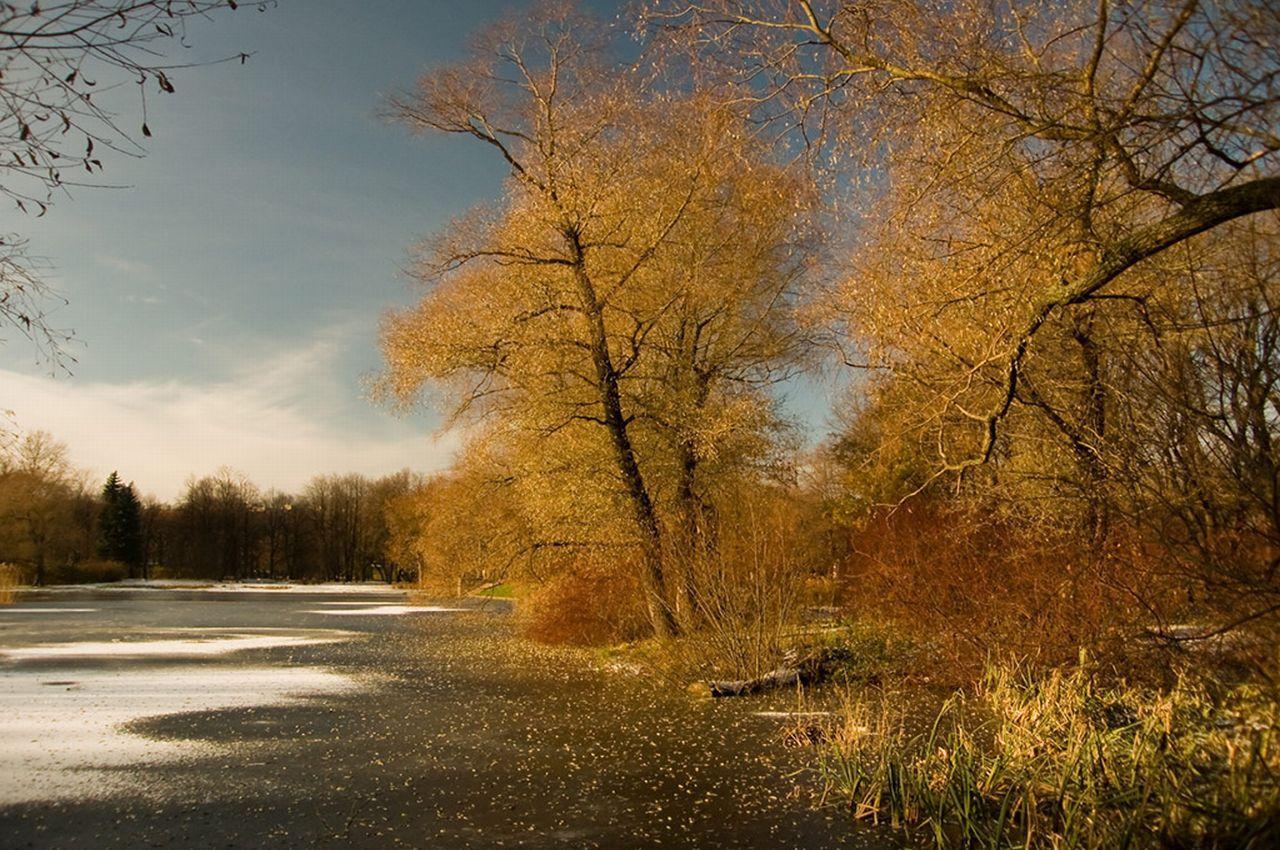 Доброе утро, Пристенский район!