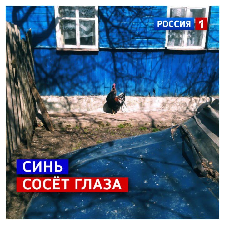 29 ноября, суббота. Надеемся, вы подошли к выходным с поэтичным настроением