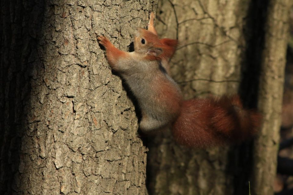 Доброе утро! Желаем всем отличного дня! Фото: Татьяна Тишина