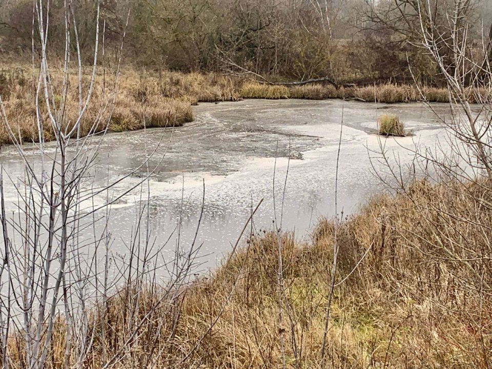 Губернатору Курской области Александру Хинштейну поступило обращение от жителя Льговского района о загрязнении реки Апока — одного из притоков Сейма