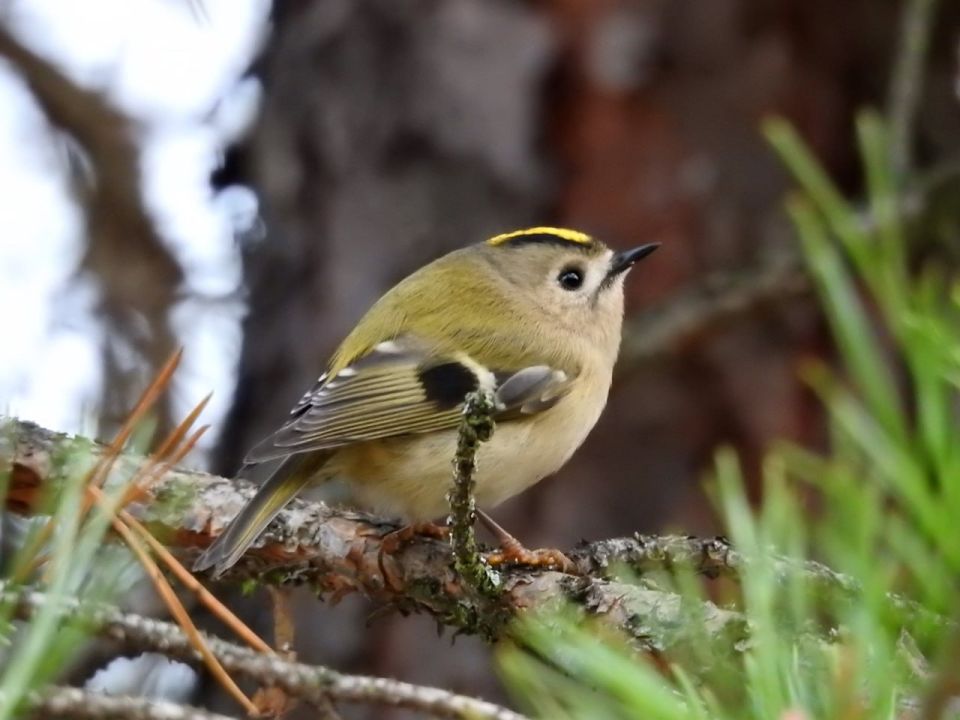Доброе утро, друзья!. Погода радует своей стабильностью
