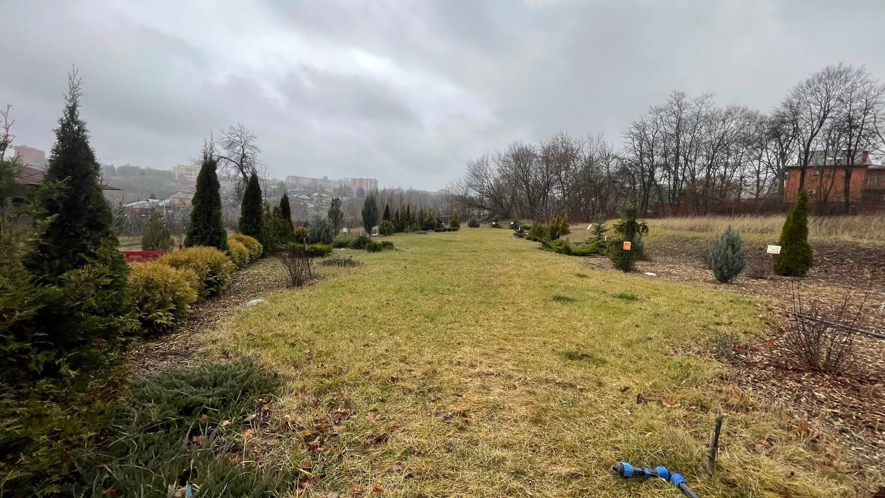 В рамках Дня добровольца прошло не только награждение, но и круглый стол В рамках Дня добровольца прошло не только награждение, но и круглый стол