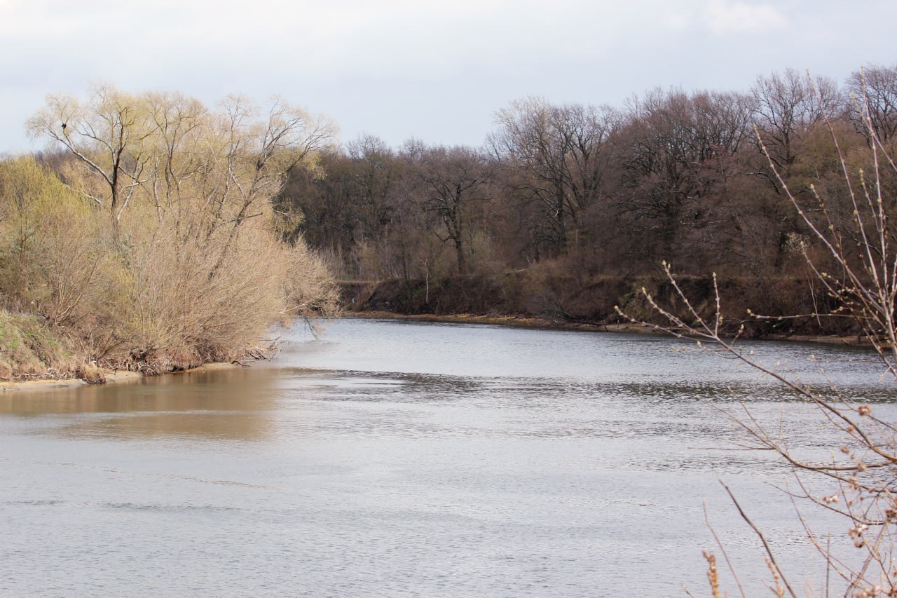Под Курском выявили сброс нечистот сахарного завода в приток Сейма