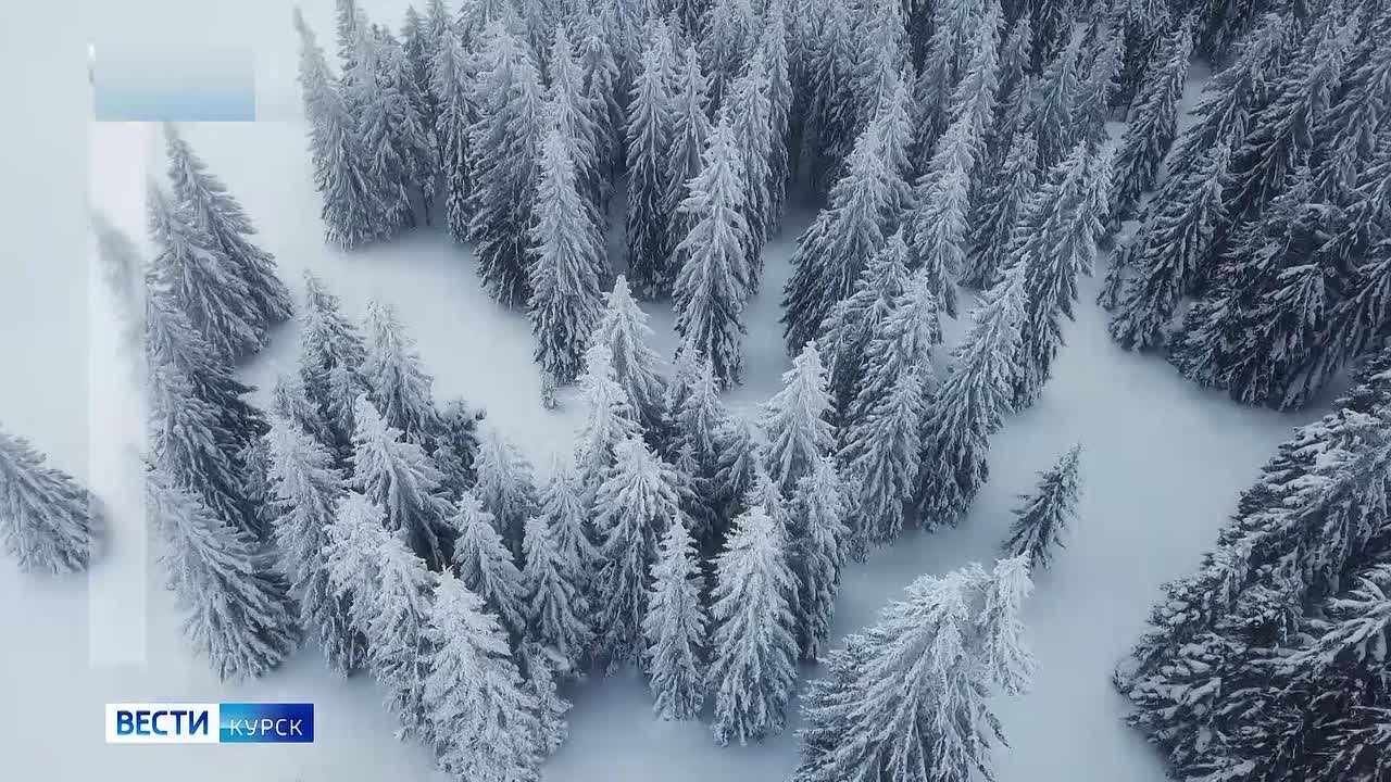 на 7 декабря. ВЕСТИ Читать | Прислать | MAX