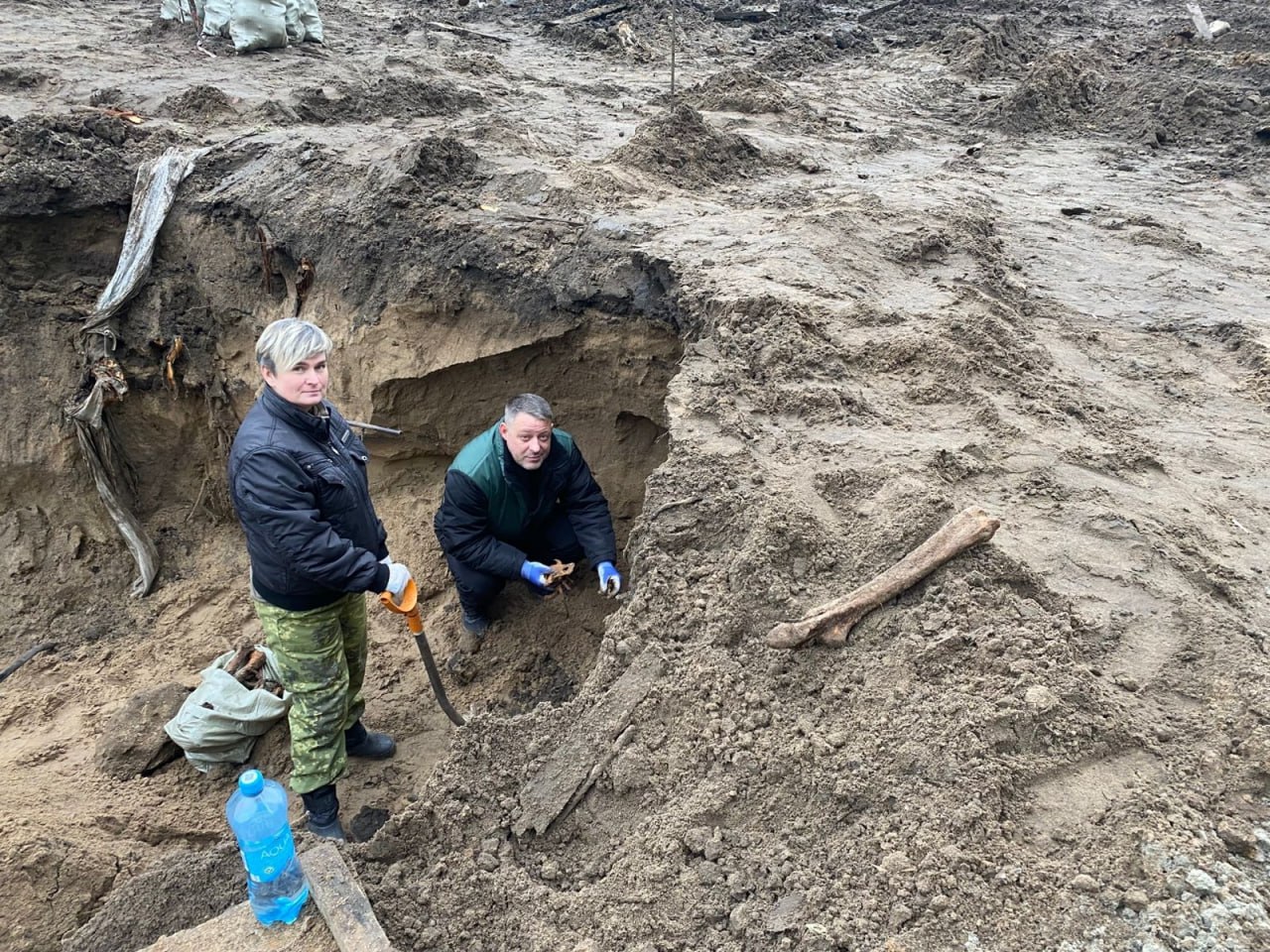 Человеческие останки времен ВОВ нашли в Курске