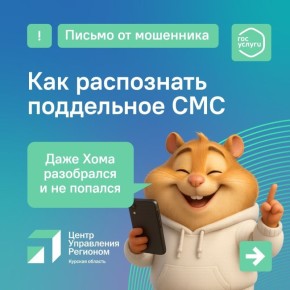 Пришло СМС от "Госуслуг"? Будьте внимательны, вам запросто могут писать мошенники!