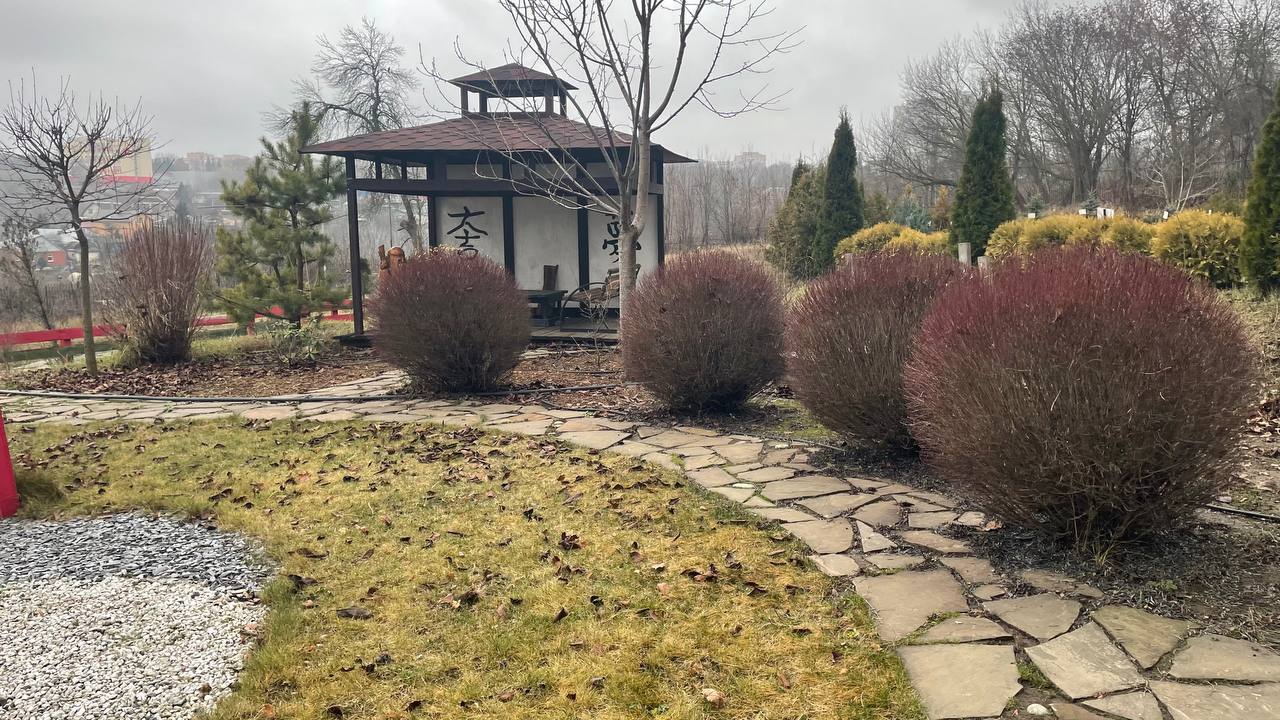 В курском «Эко-Парке» развиваются новые зоны отдыха В курском «Эко-Парке» развиваются новые зоны отдыха