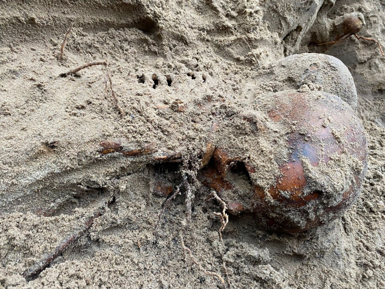 Человеческие останки времен ВОВ нашли в Курске Человеческие останки времен ВОВ нашли в Курске