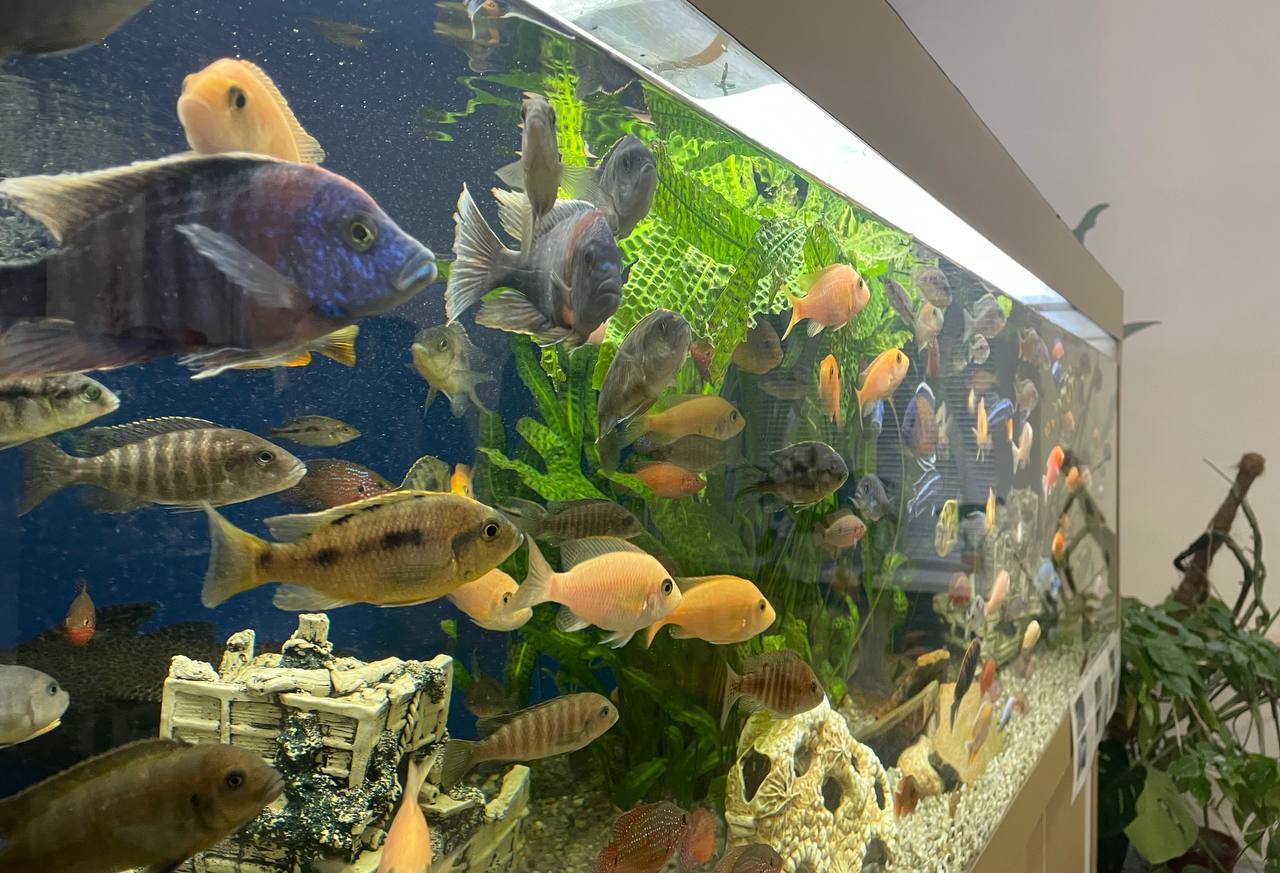 В курском «Эко-Парке» развиваются новые зоны отдыха В курском «Эко-Парке» развиваются новые зоны отдыха