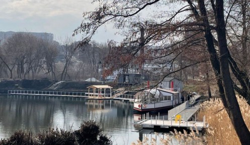 В Курской области ожидается похолодание и туман