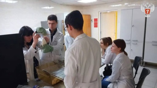 Курские ученые создают новый препарат для восстановления печени на основе пептидов