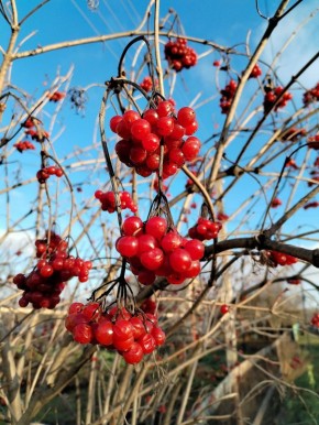  !.  ,      ,  !    #_