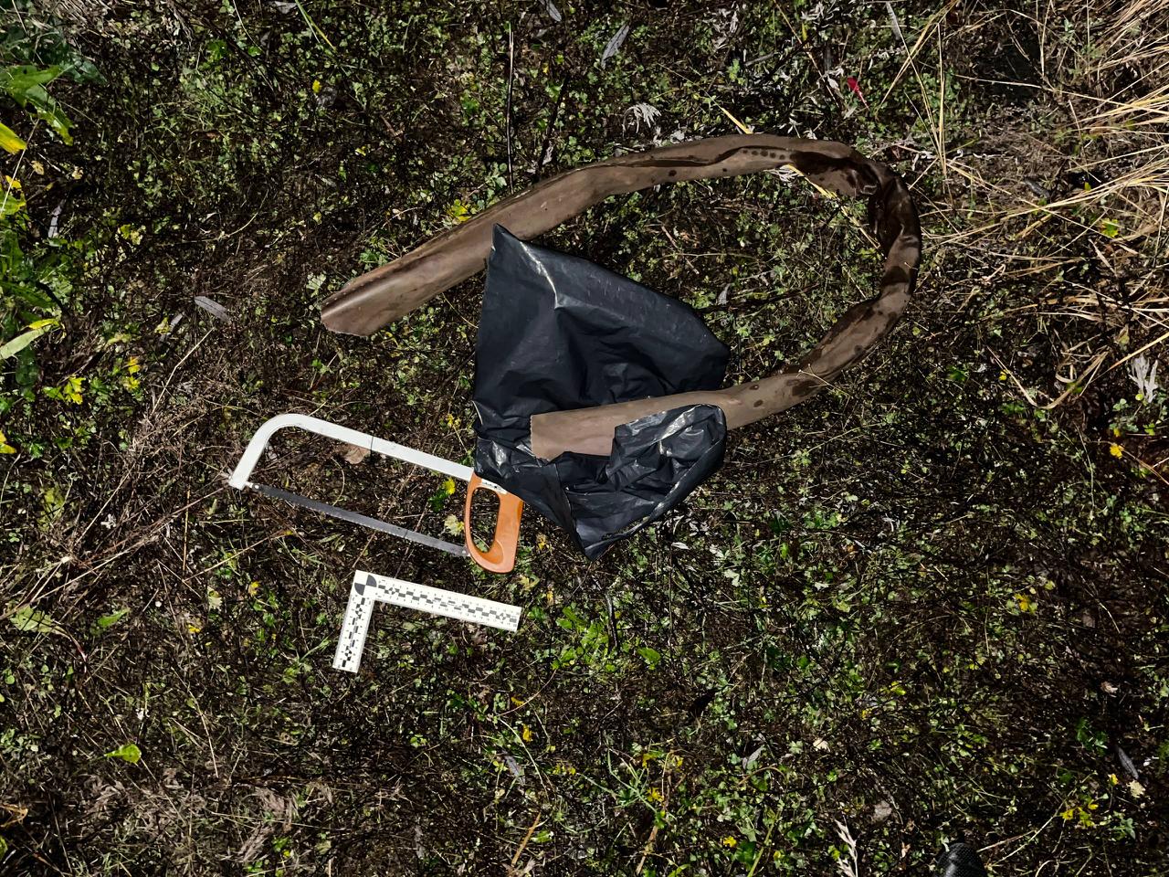 В Курске транспортной полицией пресечена попытка кражи медного кабеля с железнодорожного предприятия В Курске транспортной полицией пресечена попытка кражи медного кабеля с железнодорожного предприятия