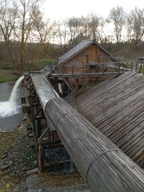 Печальную картину увидел директор курской турфирмы «Корсар» Евгений Косоруков