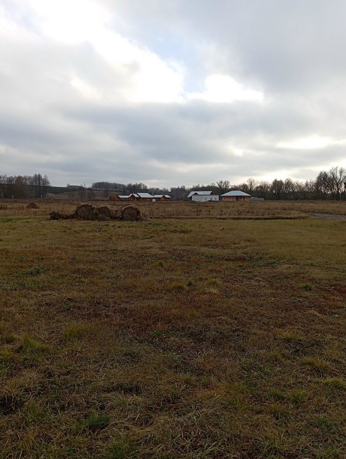 Печальную картину увидел директор курской турфирмы «Корсар» Евгений Косоруков Печальную картину увидел директор курской турфирмы «Корсар» Евгений Косоруков