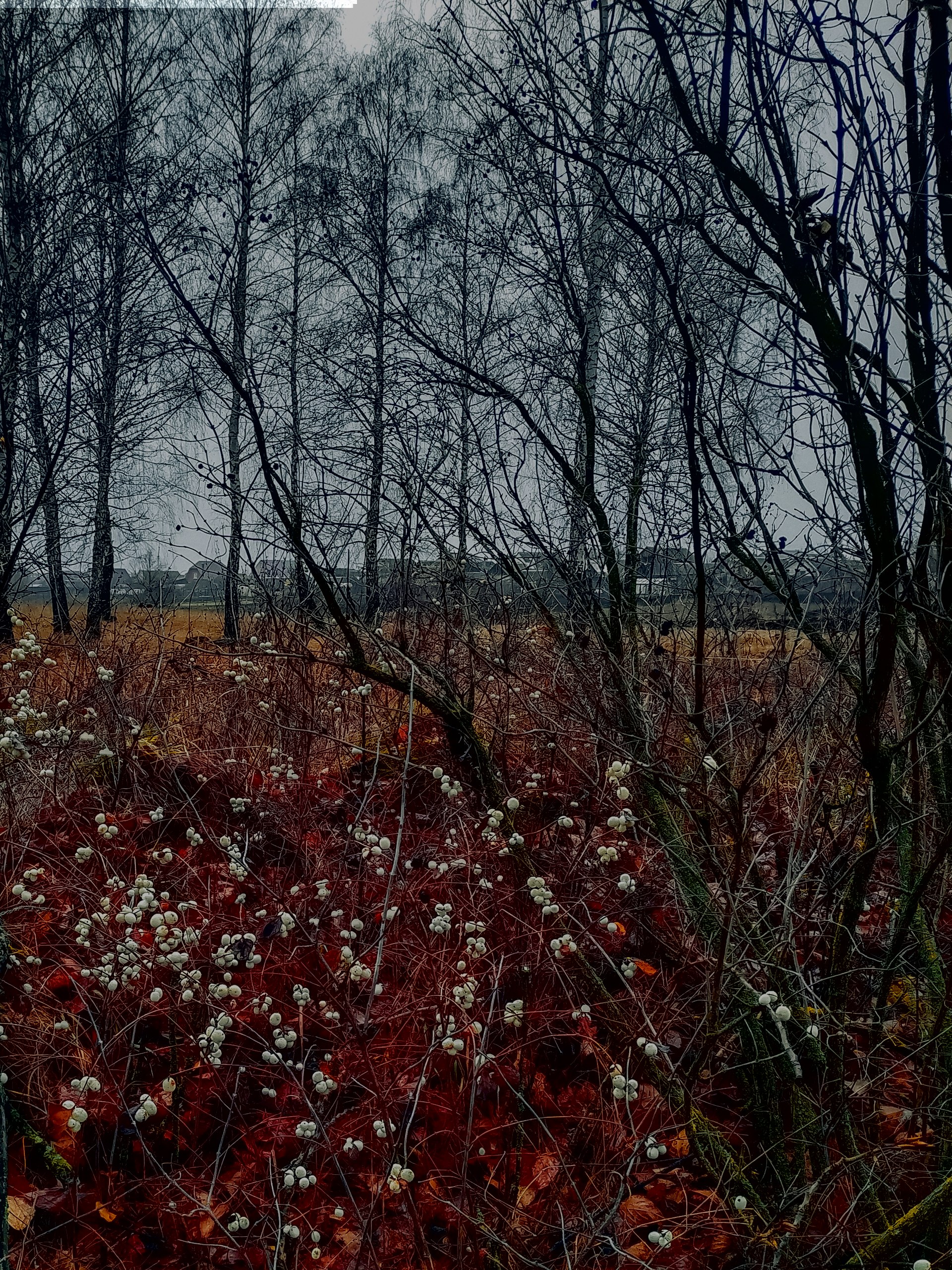 Доброе утро, Пристенский район!