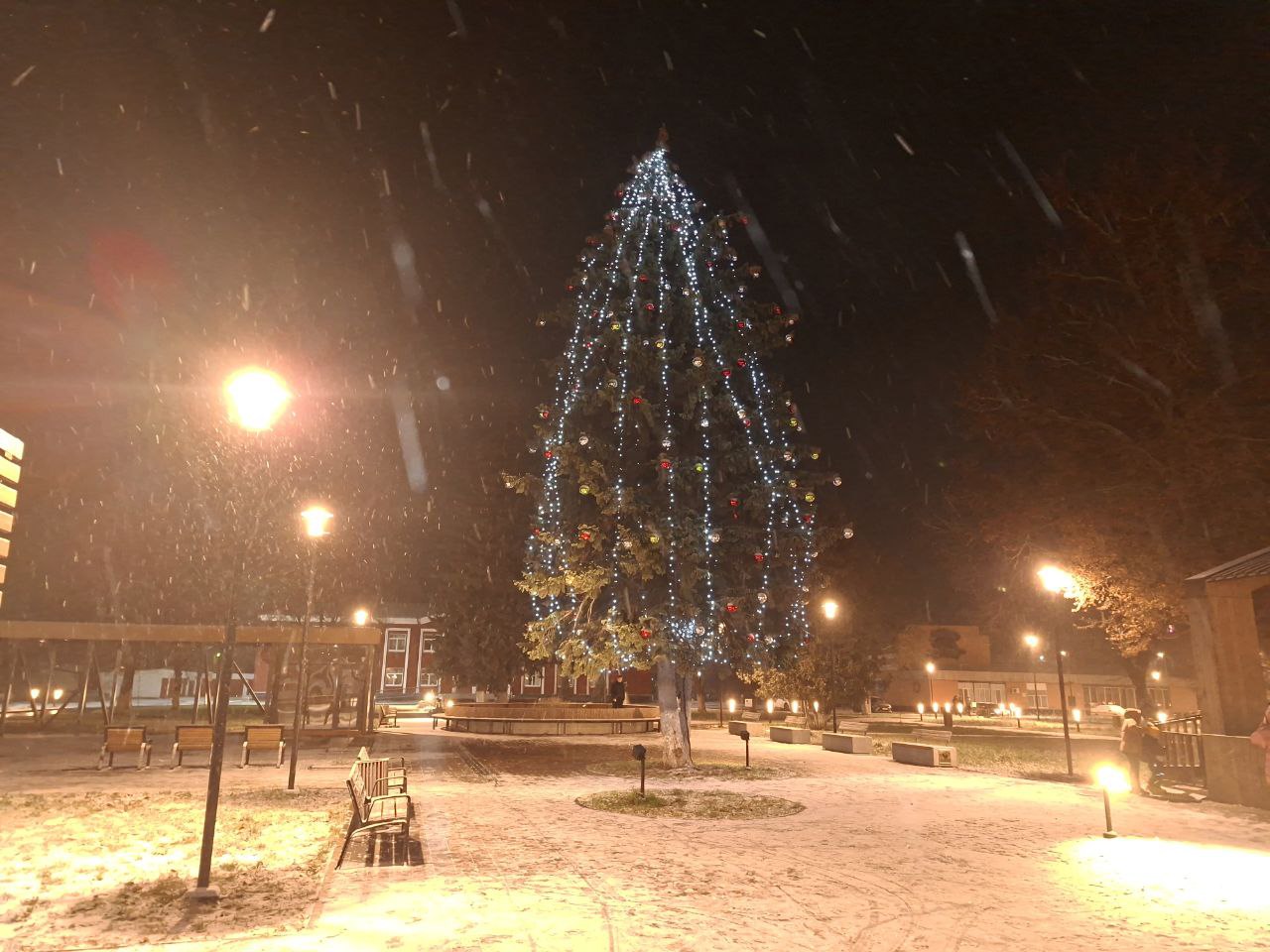 Алексей Клемешов: Сегодня, благодаря помощи ИП Гулидеева С.А., сотрудников МБУ "КДК города Льгова" и работников ООО "Трэст Россэм", наша городская елка засияла огнями и украшениями! Алексей Клемешов: Сегодня, благодаря помощи ИП Гулидеева С.А., сотрудников МБУ "КДК города Льгова" и работников ООО "Трэст Россэм", наша городская елка засияла огнями и украшениями!