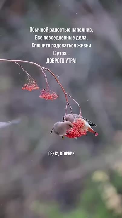 Доброе зимнее утро, Щигровский район!