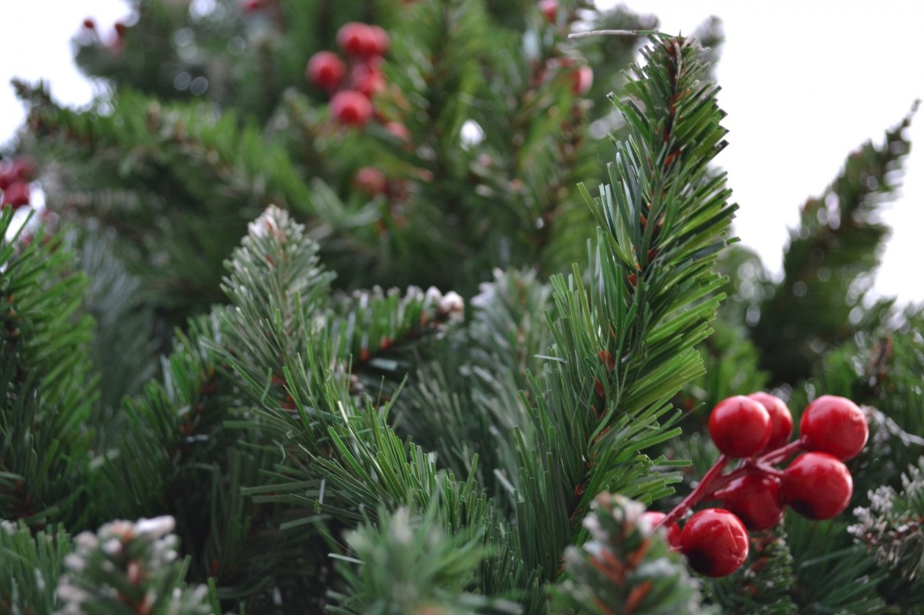 Уважаемые руководители объектов торговли и общественного питания!