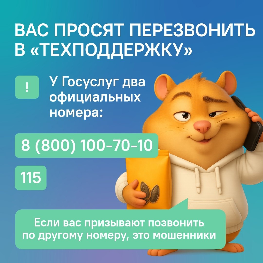 Пришло СМС от "Госуслуг"? Будьте внимательны, вам запросто могут писать мошенники! Пришло СМС от "Госуслуг"? Будьте внимательны, вам запросто могут писать мошенники!