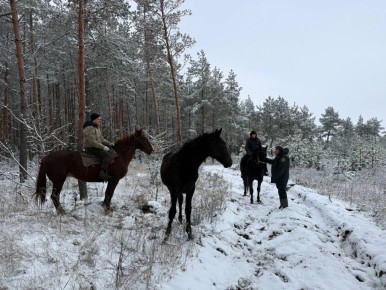 Конная инспекция на страже курских лесов