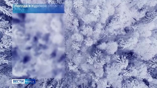 на 11 декабря. ВЕСТИ Читать | Прислать | MAX