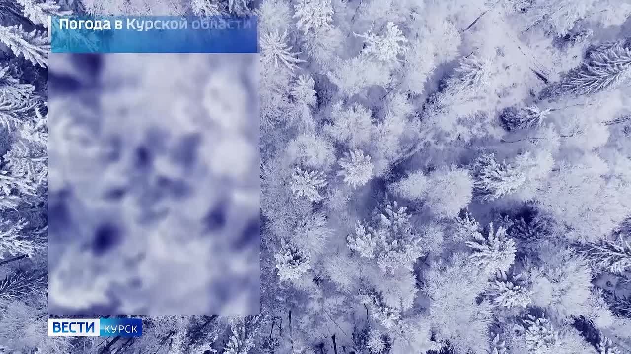 на 11 декабря. ВЕСТИ Читать | Прислать | MAX