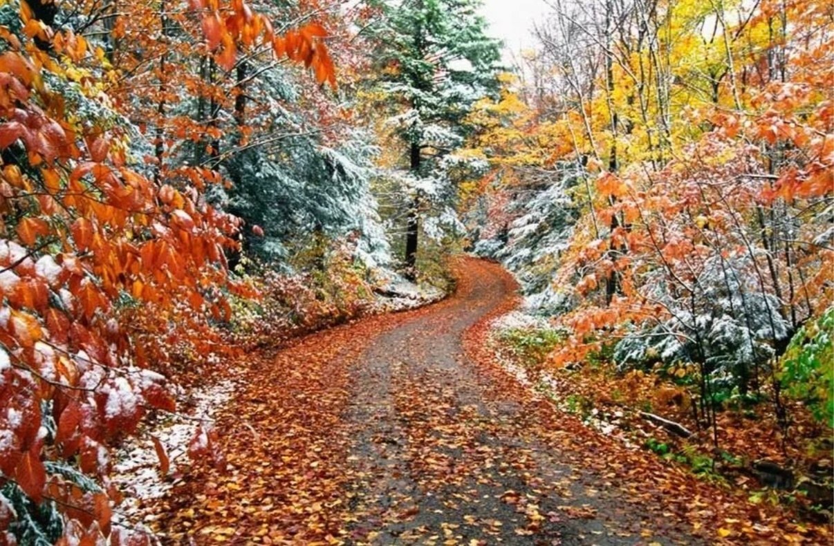 Доброе утро!. Сегодня, в среду, 10 декабря, по прогнозу регионального отделения МЧС, в Курской области облачно