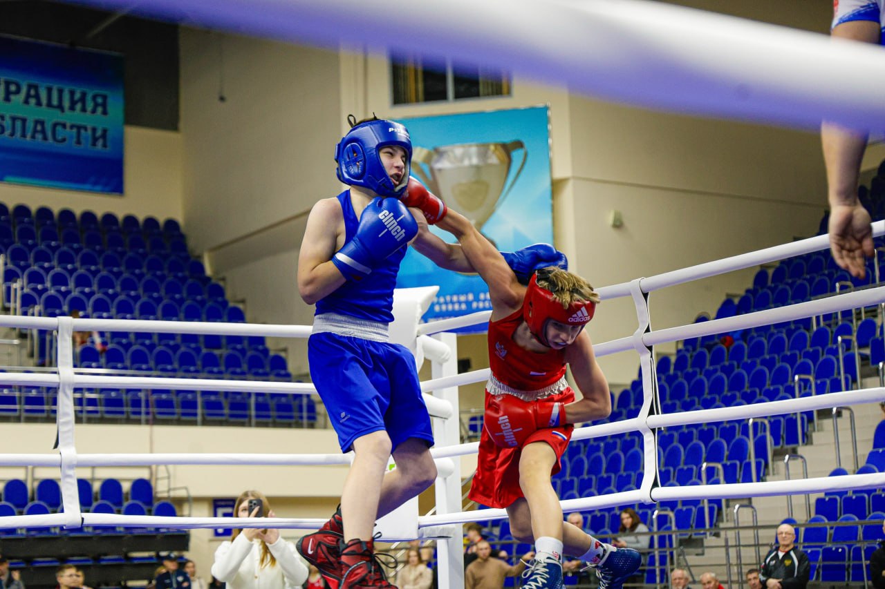 В Спортивно-концертном комплексе Курска прошли соревнования по боксу в рамках Всероссийского турнира по единоборствам «Герои Отечества», посвященного военнослужащим - участникам специальной военной операции
