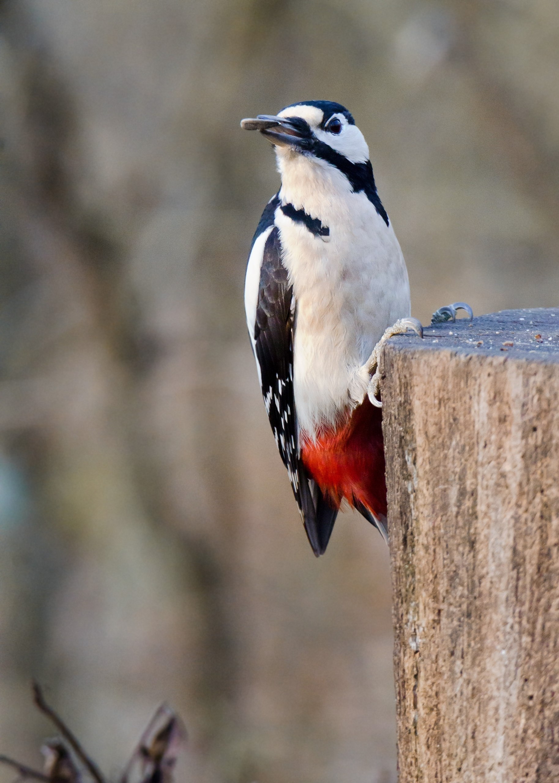 Доброе утро, Пристенский район!