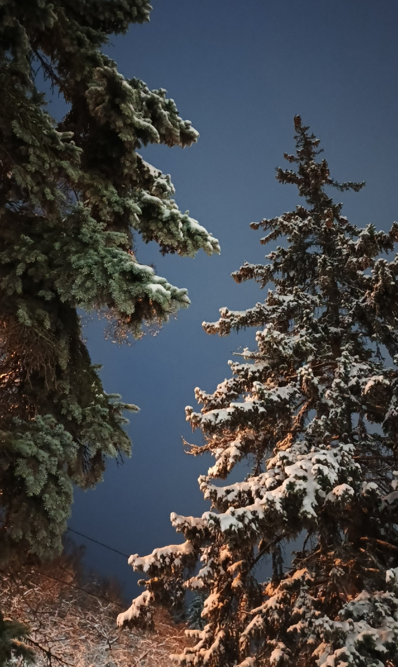 Доброе утро из Железногорска! Фото: Юля Файндми