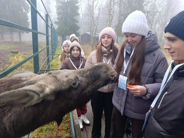 Дмитрий Новиков: 200 детей-активистов из «Движения первых», среди которых были и конышевские ребята, вернулись из увлекательного путешествия под названием «Больше, чем новогодняя сказка» Дмитрий Новиков: 200 детей-активистов из «Движения первых», среди которых были и конышевские ребята, вернулись из увлекательного путешествия под названием «Больше, чем новогодняя сказка»
