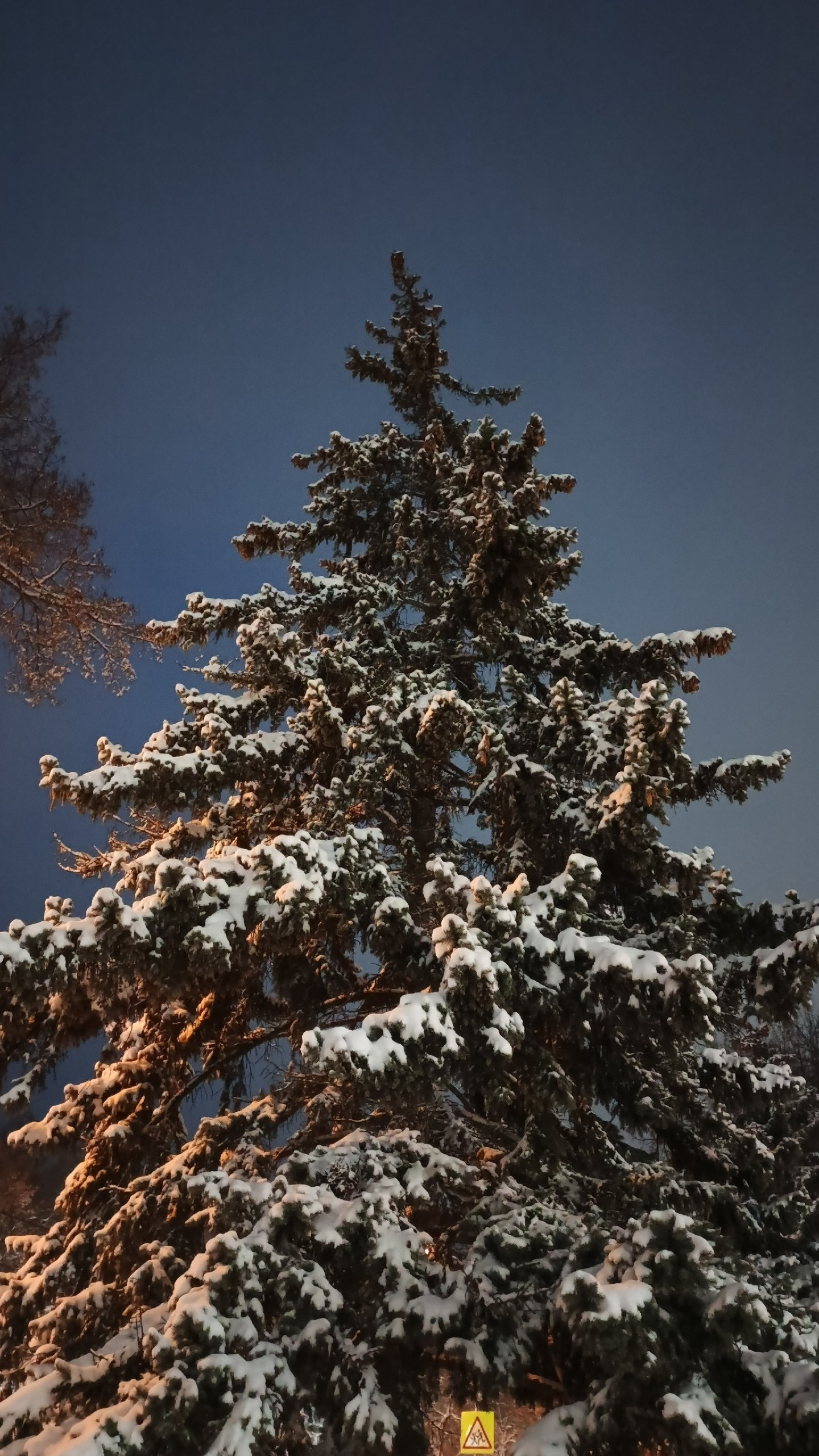 Доброе утро из Железногорска! Фото: Юля Файндми Доброе утро из Железногорска! Фото: Юля Файндми