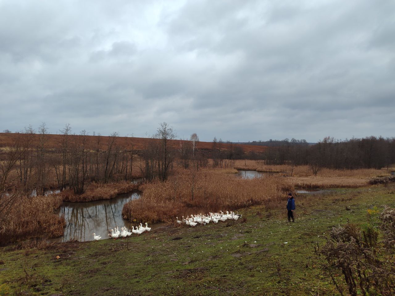 Сотрудники Курского областного Дома народного творчества совершили фольклорно-этнографическую экспедицию в Дмитриевский район Сотрудники Курского областного Дома народного творчества совершили фольклорно-этнографическую экспедицию в Дмитриевский район