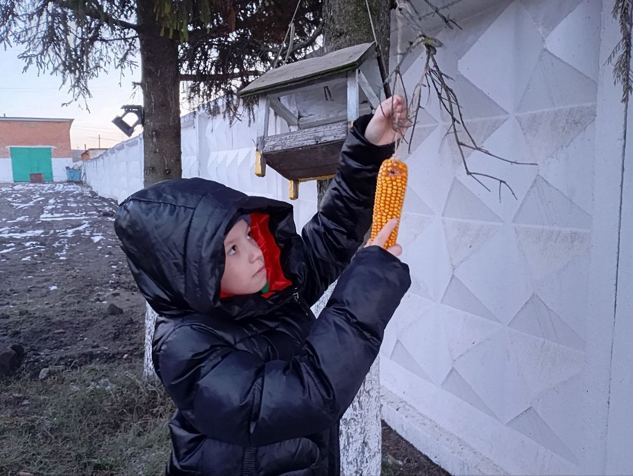 Воспитанники Щигровского центра «Импульс» принимают участие в замечательной акции "Покорми птиц зимой" Воспитанники Щигровского центра «Импульс» принимают участие в замечательной акции "Покорми птиц зимой"