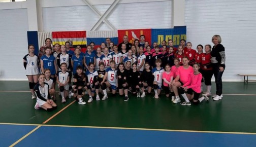 Алексей Томанов: При поддержке ЛДПР состоялся новый сезон «Детской волейбольной лиги 2025–2026»