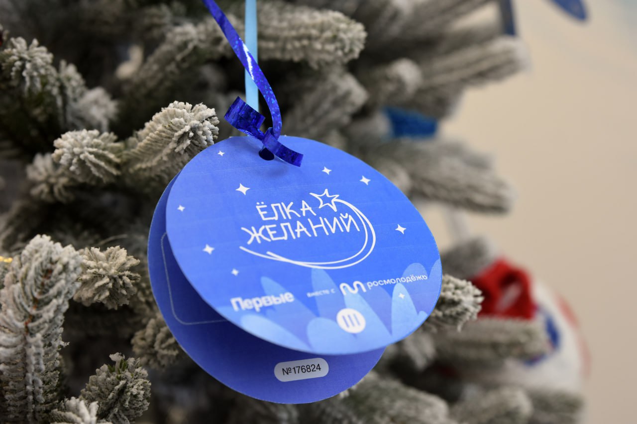 В Курской области стартовала Всероссийская акция «Ёлка желаний» - чиновники исполняют мечты детей В Курской области стартовала Всероссийская акция «Ёлка желаний» - чиновники исполняют мечты детей