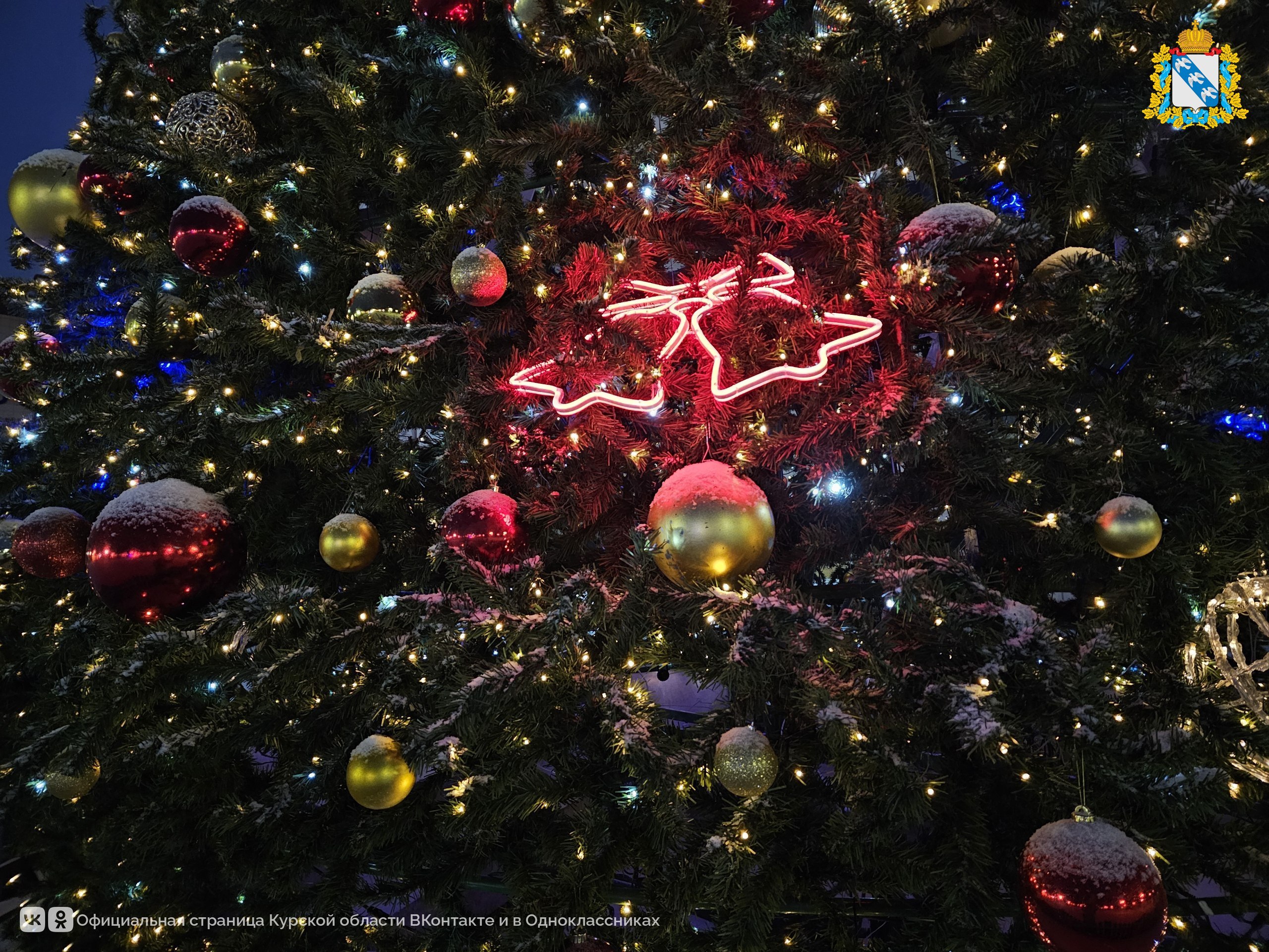 Доброе утро! До Нового года осталось всего 15 дней Доброе утро! До Нового года осталось всего 15 дней