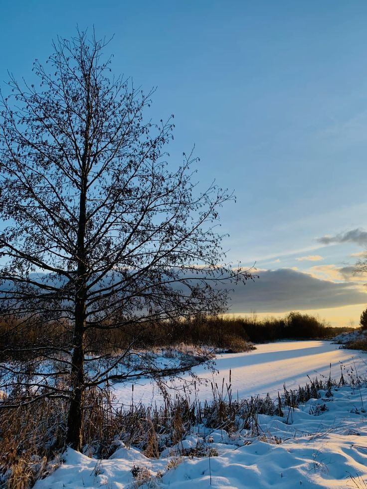 Доброе утро, Пристенский район!