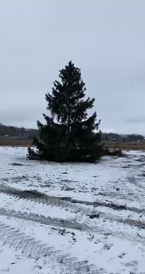 Виктор Петров: На мельнице в селе Красниково Пристенского района активно проходит подготовка к новому 2026 году