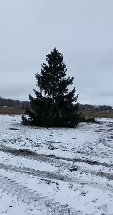 Виктор Петров: На мельнице в селе Красниково Пристенского района активно проходит подготовка к новому 2026 году