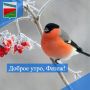 ДОБРОЕ УТРО. Всем удачного вторника и хорошего настроения