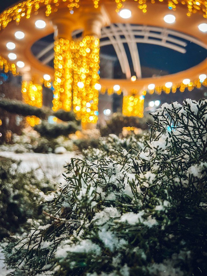 Погоду в Курской области в течение почти всей недели будет определять чередование ложбин и гребней, которые принесут тропическую воздушную массу