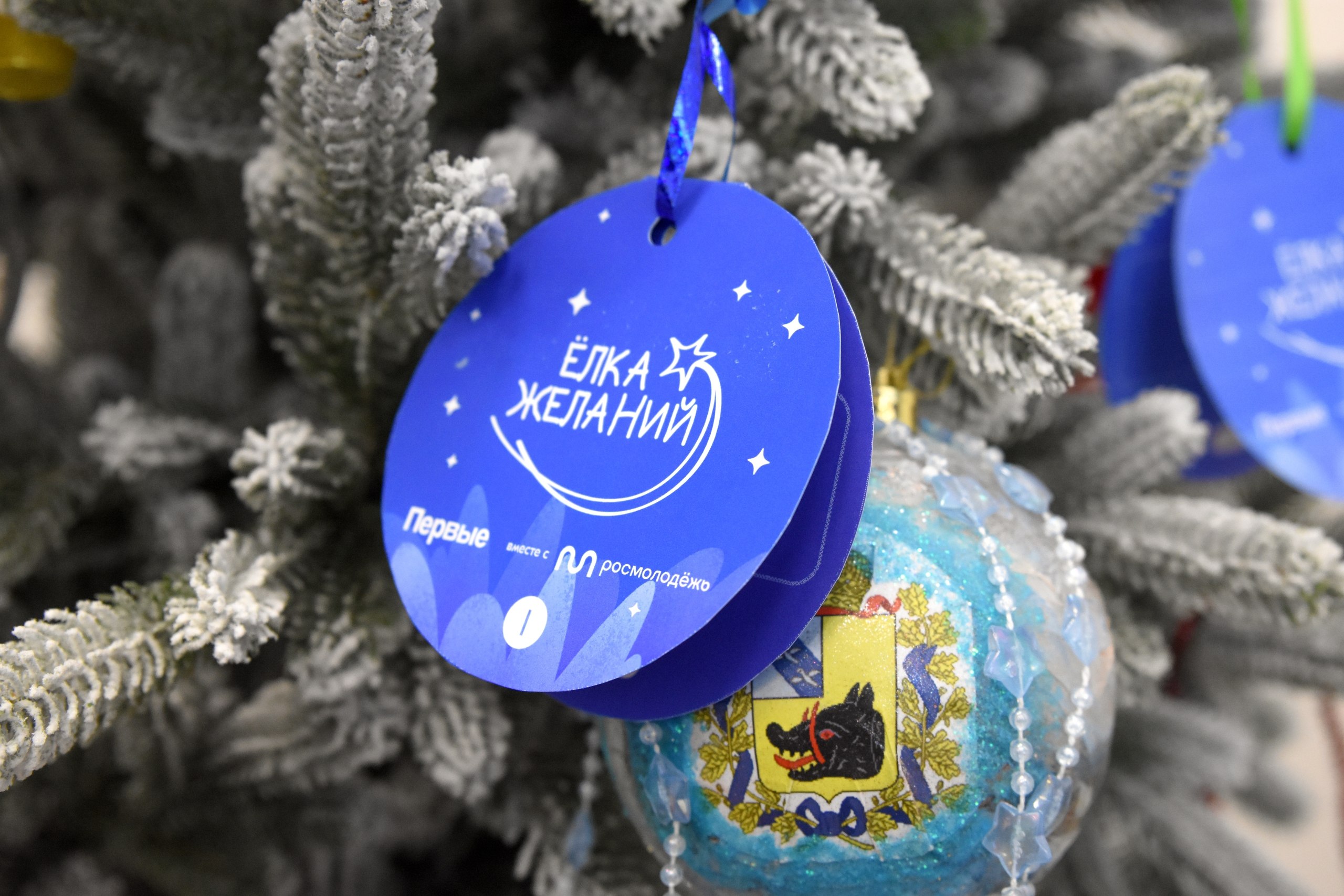 В Курской области продолжается Всероссийская акция «Ёлка желаний», старт которой в понедельник дал губернатор Александр Хинштейн В Курской области продолжается Всероссийская акция «Ёлка желаний», старт которой в понедельник дал губернатор Александр Хинштейн