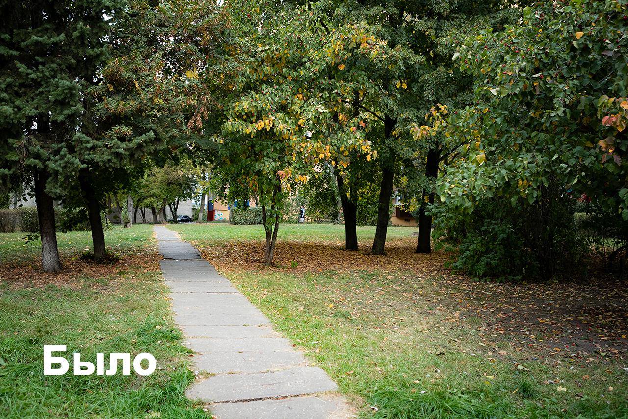 На Интернациональной завершают благоустройство сквера за 38 млн На Интернациональной завершают благоустройство сквера за 38 млн