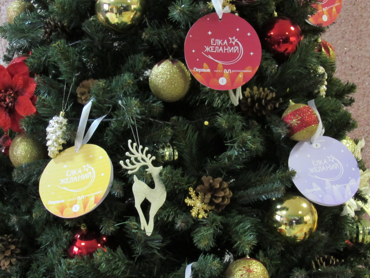 Сергей Ливенцев: По традиции в преддверии Нового года при поддержке Движения Первых и Росмолодежи проходит Всероссийская акция «Ёлка желаний»